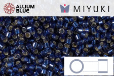 MIYUKI Delica® Seed Beads (DB1870) 11/0 Round - Silk Deep Sea Green AB