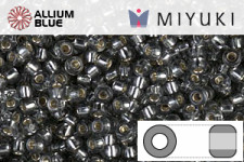 MIYUKI Round Seed Beads (RR11-0021) - Silver Lined Gray