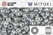 MIYUKI Round Seed Beads (RR11-0178) - Gray Luster