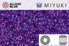 MIYUKI Round Seed Beads (RR11-0352) - Purple Lined Aqua