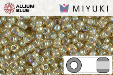 MIYUKI Round Rocailles Seed Beads (RR8-0181) 8/0 Large - Galvanized Silver