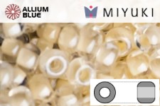 MIYUKI Round Rocailles Seed Beads (RR11-1125) 11/0 Small - 1125