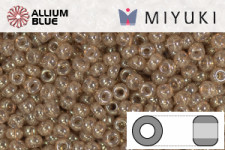 MIYUKI Round Rocailles Seed Beads (RR11-2372) 11/0 Small - 2372