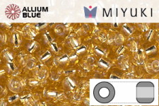 MIYUKI Round Rocailles Seed Beads (RR8-0591) 8/0 Large - 0591