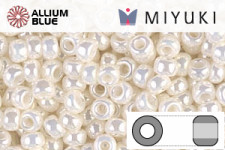 MIYUKI Round Rocailles Seed Beads (RR8-0451) 8/0 Large - Metallic Gunmetal