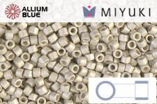 MIYUKI Delica® Seed Beads (DB0335) 11/0 Round - Matte Galvanized Silver