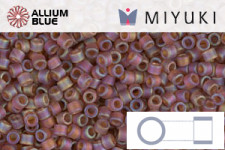 MIYUKI Delica® Seed Beads (DB0749) 11/0 Round - Matte Transparent Gray