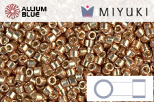 MIYUKI Delica® Seed Beads (DB2119) 11/0 Round - Duracoat Op Jujube